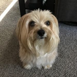 Meet your Posher, Mark